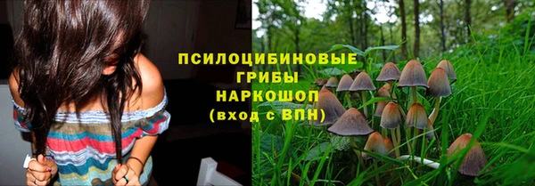 Альфа ПВП Вязьма